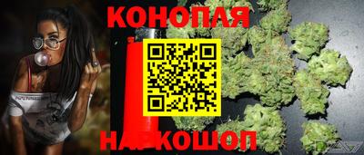 спайс Коммунар
